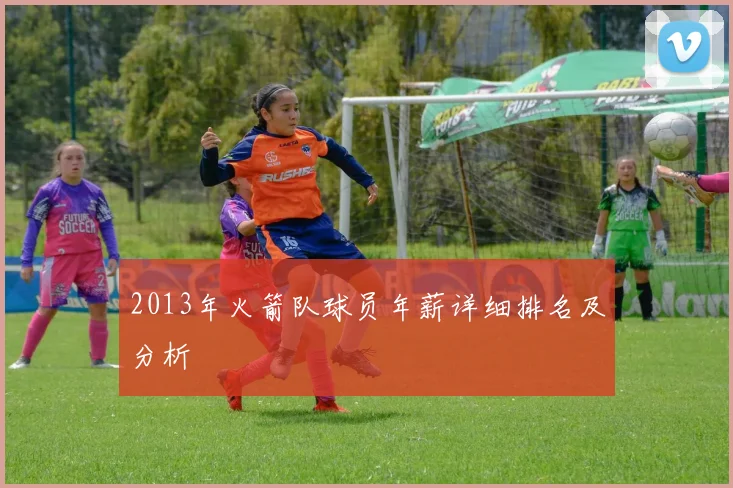 2013年火箭队球员年薪详细排名及分析